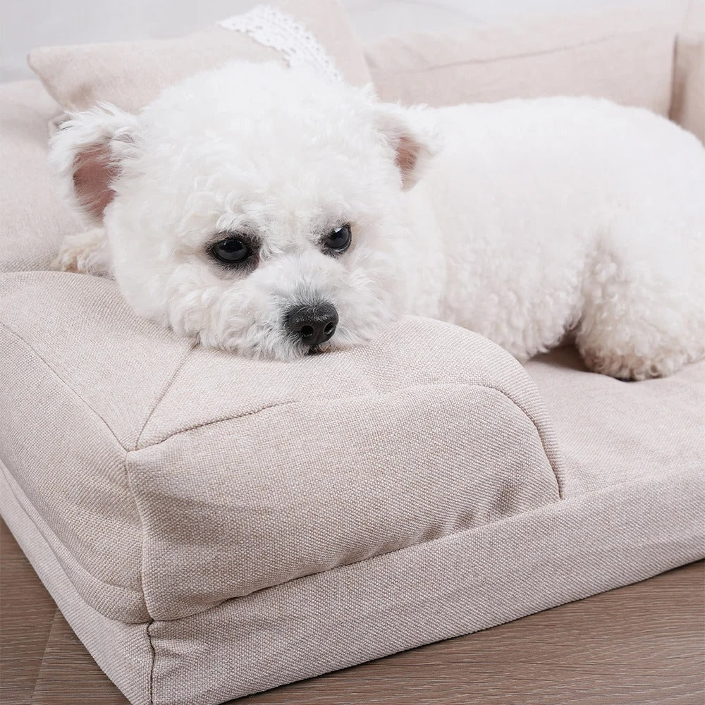 Hundens egna soffa